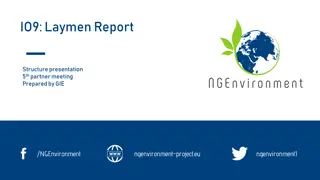 Layman Report for Sustainable Change in NGO Sector