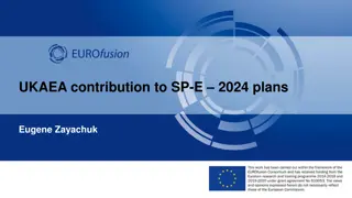 Exploring UKAEA Contribution to SP-E 2024 Plans with Eugene Zayachuk