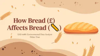How Bread Affects Purchases: Economic and Weather Analysis