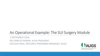 Stress Urinary Incontinence (SUI) Treatment Options and Importance of Registry