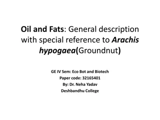 Understanding Oil and Fats: A Detailed Exploration