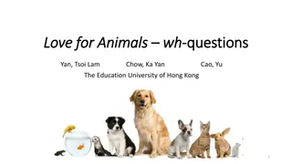 Wh-Questions and Question Words for Animal Lovers