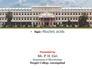 Understanding the Structure of DNA and Nucleic Acids