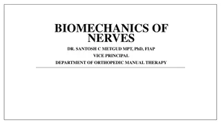 Understanding the Biomechanics of Nerves in the Peripheral Nervous System