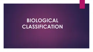 Biological Classification Overview: Evolution and Diversity