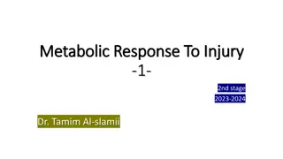 Understanding Metabolic Response to Injury: Phases and Homeostasis