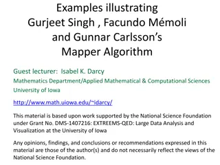 Understanding Mapper Algorithm for Data Visualization