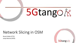 Network Slicing in OSM: Definitions, Workflow, Management