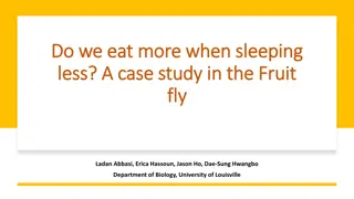 Understanding the Sleep-Feeding Conflict in Fruit Flies