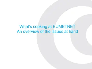 Exploring Challenges and Opportunities at EUMETNET
