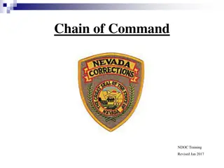 Understanding Chain of Command and Authority in Organizational Structure