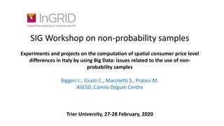 Spatial Consumer Price Indexes in Italy: Non-Probability Samples Workshop