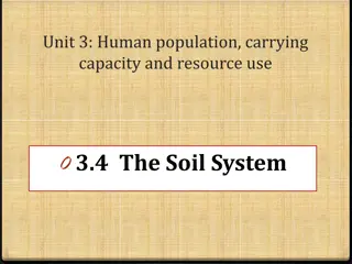 Understanding the Importance of Soil Systems