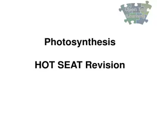 Mastering Photosynthesis: Important Concepts and Processes Revealed!