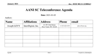 IEEE 802.11-21/0004r1 AANI SC Teleconference Agenda January 2021