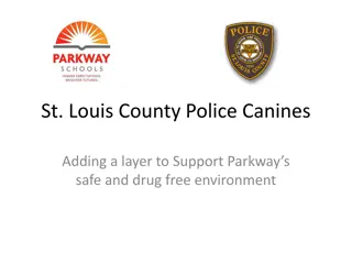 Enhancing School Safety with Canines in St. Louis County