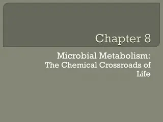Microbial Metabolism: The Chemical Crossroads of Life