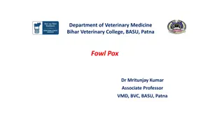 Understanding Avian Pox Disease in Chickens: Causes, Symptoms & Treatment
