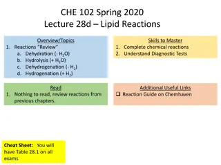 Lipid Reactions Overview: Dehydration, Hydrolysis, Hydrogenation, Dehydrogenation