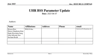 Understanding Update Mechanism for UHR BSS Parameters in IEEE 802.11-25