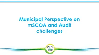 Municipal Perspective on mSCOA and Audit Challenges