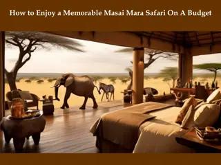 How to Enjoy a Memorable Masai Mara Safari On A Budget