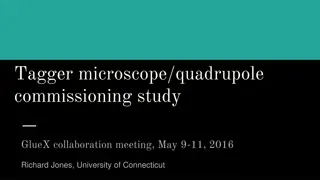 Tagger Microscope Quadrupole Commissioning Study Insights
