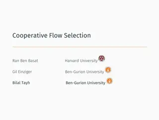 Cooperative Flow Selection and Network Wide Measurement Study