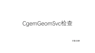 CGEM Geometry Services and Parameters Overview