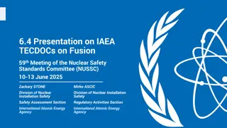 IAEA TECDOCs on Fusion for Safety Standards Committee Meeting