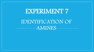 Identifying Amines: Characteristics, Biological Activity, and Chemical Reactions