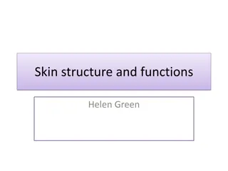 Understanding Skin Structure and Functions for Healthy Skin