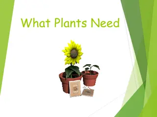 Essential Elements for Plant Growth Explained