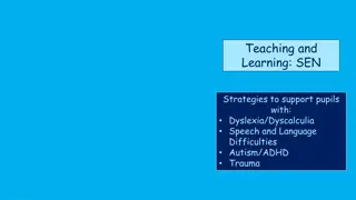 Strategies to Support Students with Dyslexia and Other SEN Challenges