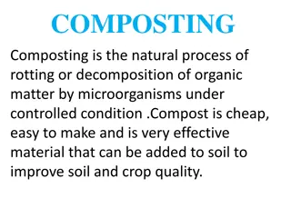 Easy Composting Methods and Techniques for Soil Improvement