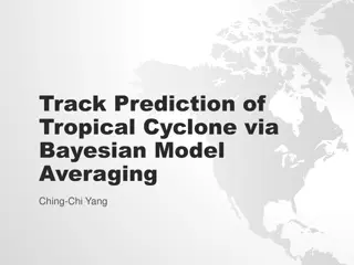 Tropical Cyclone Bayesian Model Averaging Prediction