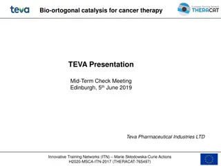 Innovative Cancer Therapy Bio-Orthogonal Catalysis