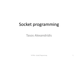 Introduction to Socket Programming Concepts