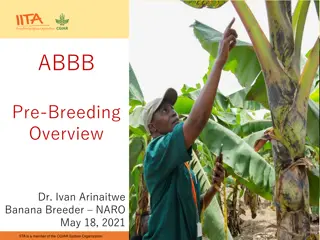 Banana Breeding Objectives and Tools for Marker-Assisted Breeding