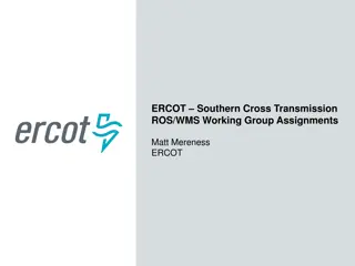ERCOT Southern Cross Transmission Working Group Assignments and Directives
