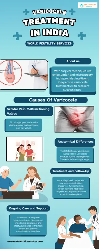 Varicocele Treatment in India | World Fertility Services