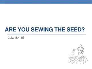 Understanding the Parable of Sewing the Seed in Luke 8:4-15