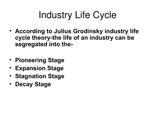 Understanding Industry Life Cycle Stages: Pioneering, Expansion, Maturity, Decline