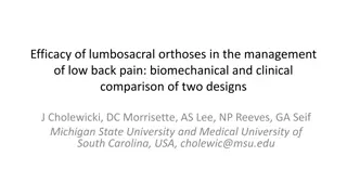 Comparison of Lumbosacral Orthoses for Low Back Pain Management