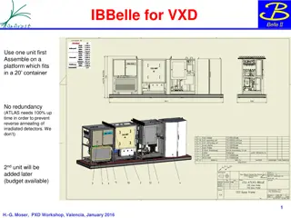 IBBelle VXD Unit Assembly and Safety Certification Insights