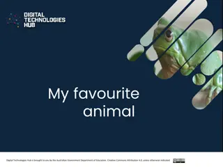 Australian Green Tree Frog: Fascinating Facts and Media