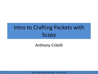 Crafting Packets with Scapy: A Comprehensive Guide