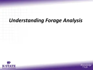 Understanding Forage Analysis: Methods and Components