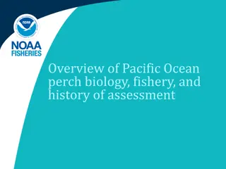 Insight into Pacific Ocean Perch Biology, Fishery, and Assessment History