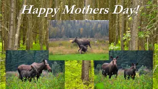 Celebrating Motherhood: A Tribute to Mary and Good Moms